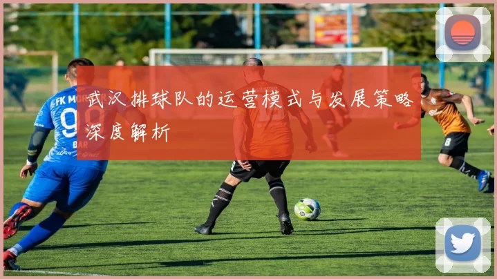武汉排球队的运营模式与发展策略深度解析