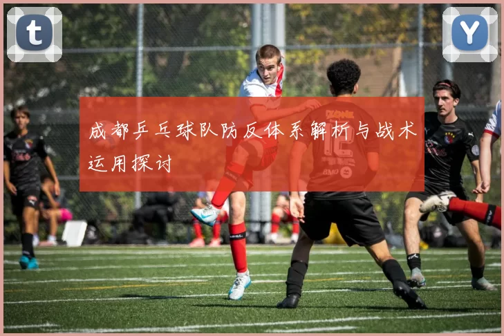 成都乒乓球队防反体系解析与战术运用探讨