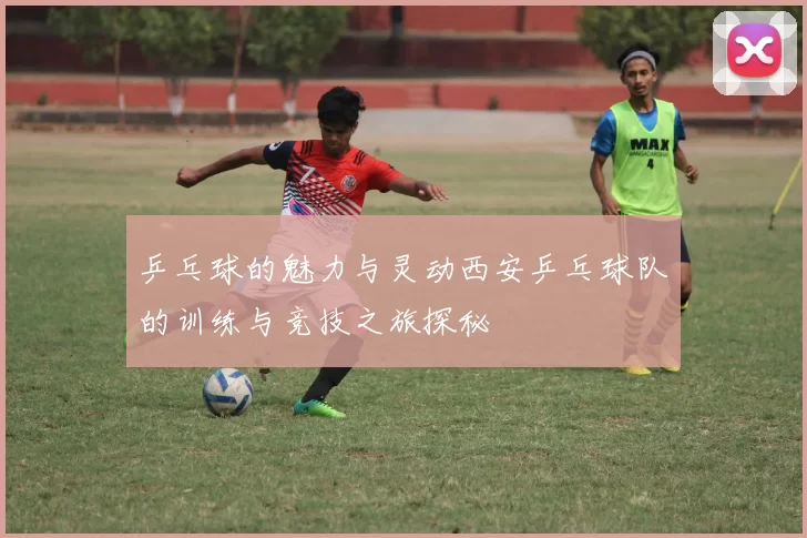 乒乓球的魅力与灵动西安乒乓球队的训练与竞技之旅探秘