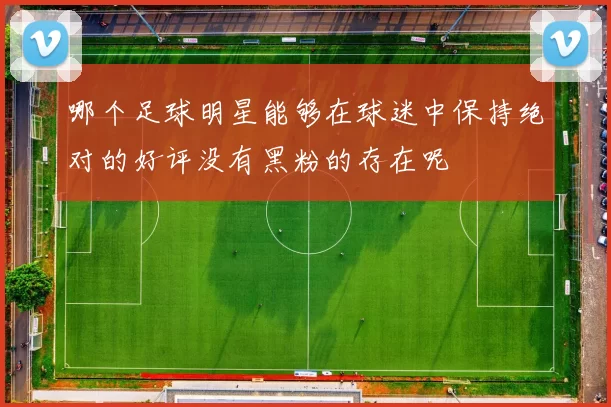 哪个足球明星能够在球迷中保持绝对的好评没有黑粉的存在呢
