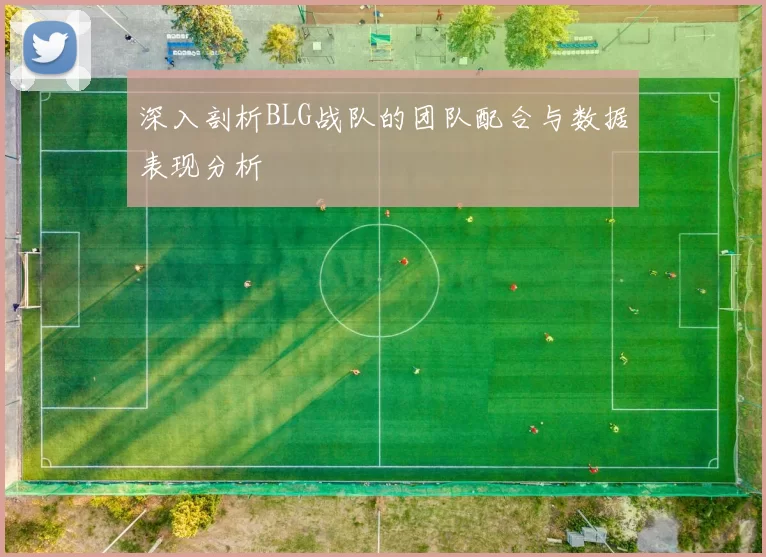 深入剖析BLG战队的团队配合与数据表现分析