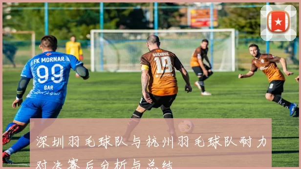 深圳羽毛球队与杭州羽毛球队耐力对决赛后分析与总结