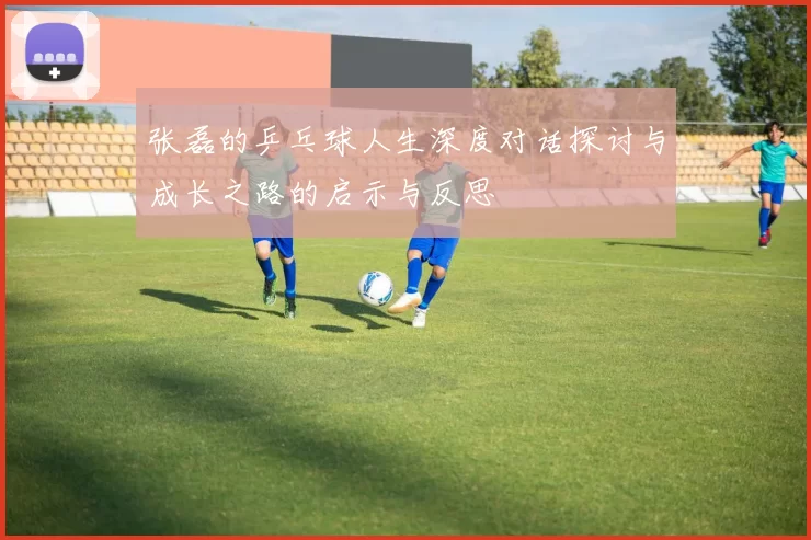 张磊的乒乓球人生深度对话探讨与成长之路的启示与反思
