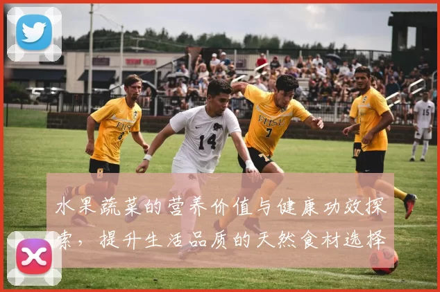 水果蔬菜的营养价值与健康功效探索，提升生活品质的天然食材选择