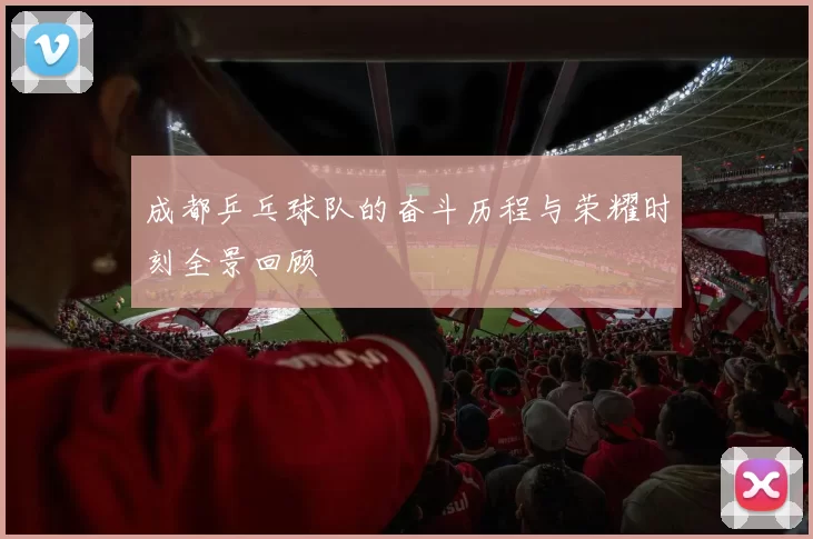 成都乒乓球队的奋斗历程与荣耀时刻全景回顾