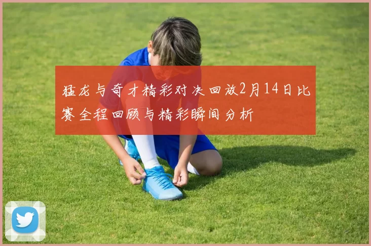 猛龙与奇才精彩对决回放2月14日比赛全程回顾与精彩瞬间分析
