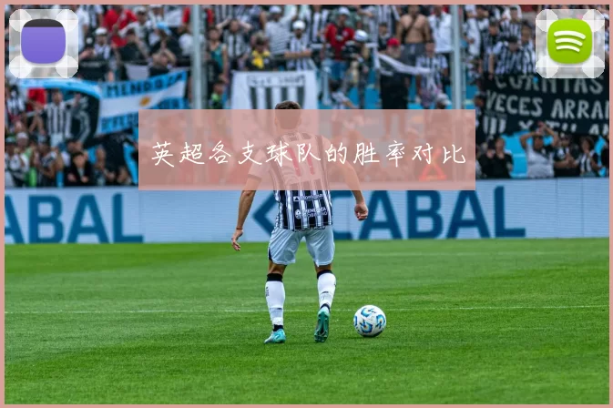 英超各支球队的胜率对比