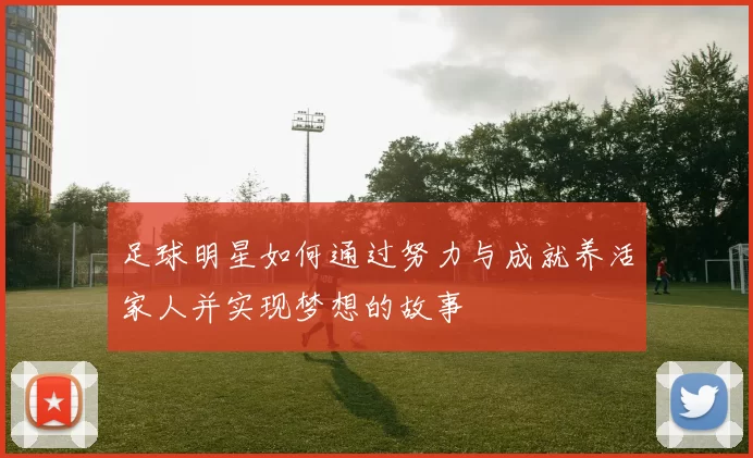 足球明星如何通过努力与成就养活家人并实现梦想的故事