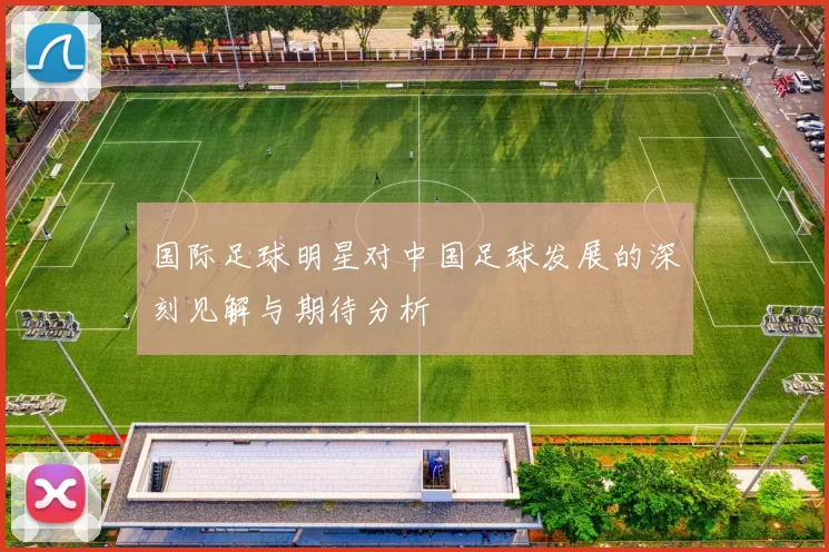 国际足球明星对中国足球发展的深刻见解与期待分析