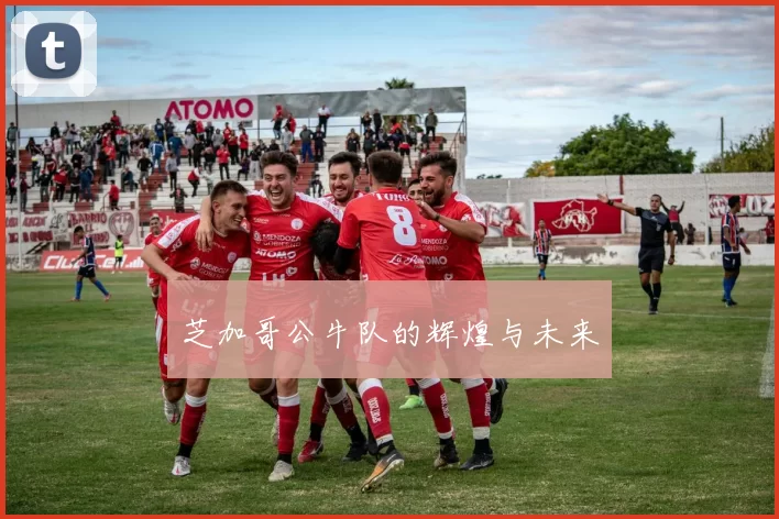 芝加哥公牛队的辉煌与未来