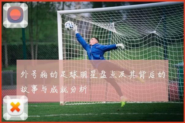 外号狗的足球明星盘点及其背后的故事与成就分析