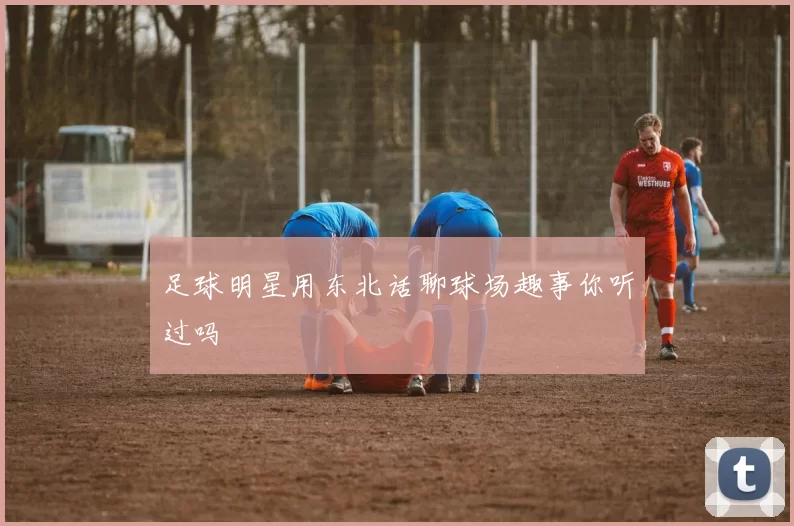 足球明星用东北话聊球场趣事你听过吗