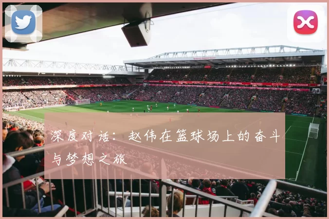 深度对话：赵伟在篮球场上的奋斗与梦想之旅