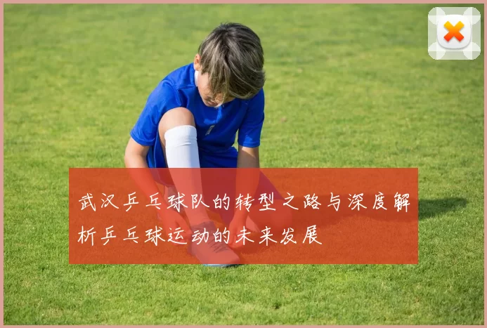 武汉乒乓球队的转型之路与深度解析乒乓球运动的未来发展