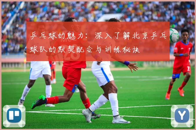 乒乓球的魅力：深入了解北京乒乓球队的默契配合与训练秘诀