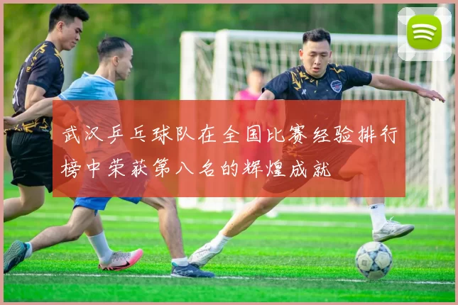 武汉乒乓球队在全国比赛经验排行榜中荣获第八名的辉煌成就