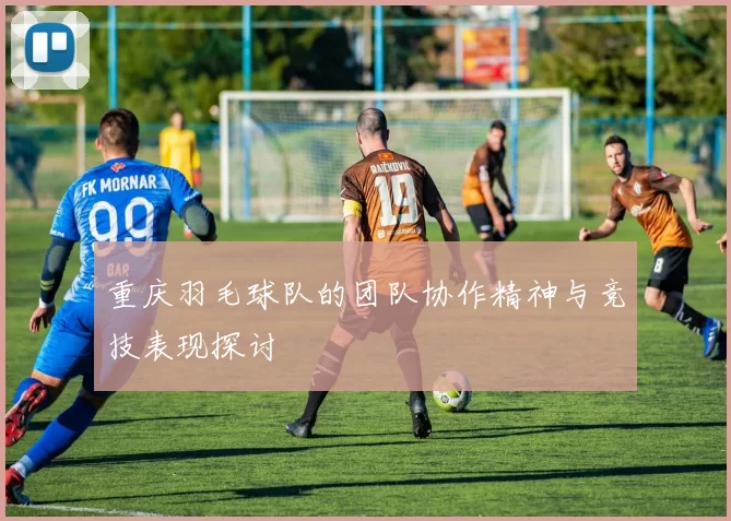 重庆羽毛球队的团队协作精神与竞技表现探讨